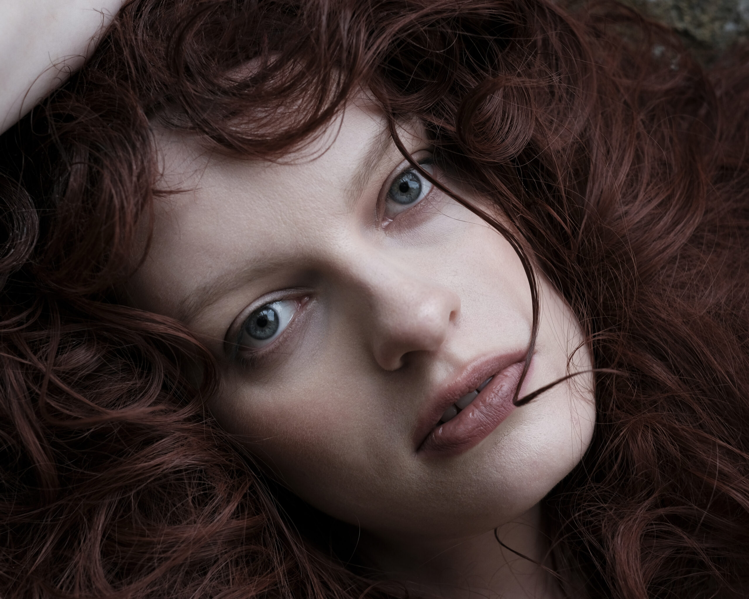 Style <span>Language</span>