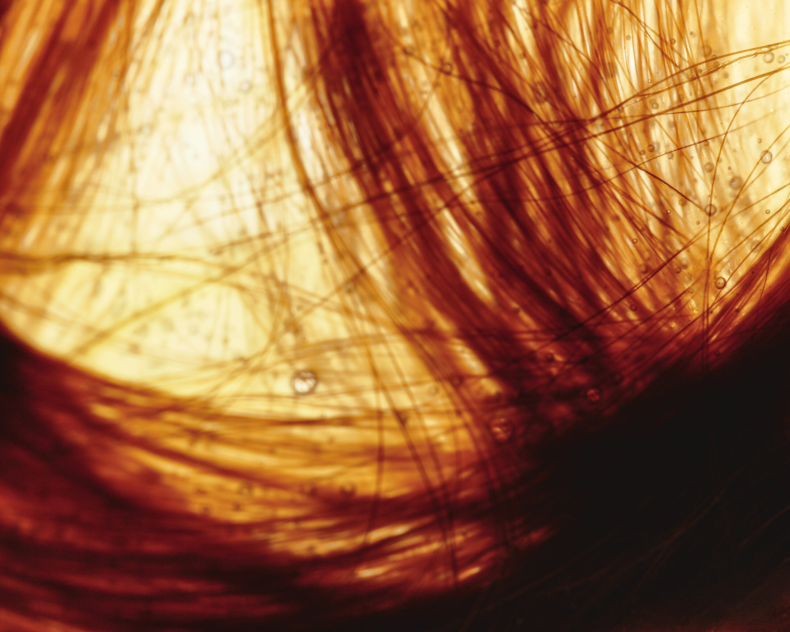 Courage <span>to Experiment</span>